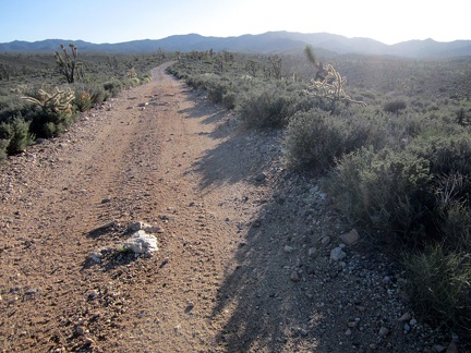 I remount the bike and pedal some more when I reach a less hilly part of the road heading toward the McCullough Mountains