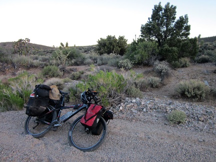 Pine Spring Rd gets sandier and is heading slightly uphill again, so I look for a campsite; I think I may have found one