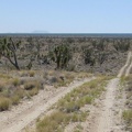 Way off in the distance, I can see flat-topped Table Mountain, which I'll pass later on the way to Mid Hills campground