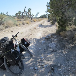 Day 4: Mail Spring to Mid Hills Campground by bicycle via New York Mountains Road, Mojave National Preserve