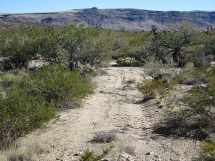 After packing up camp, I start the ride down the dead-end road that I didn't ride up yesterday