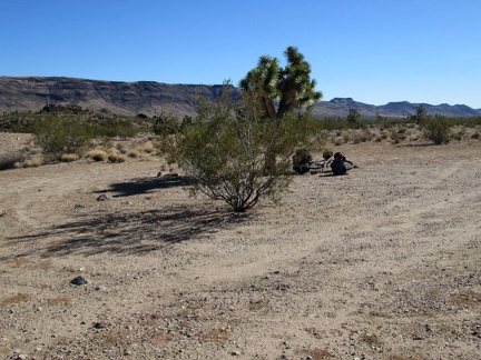 I don't need a rest yet, but this looks like a good place to stop and go for a short walk