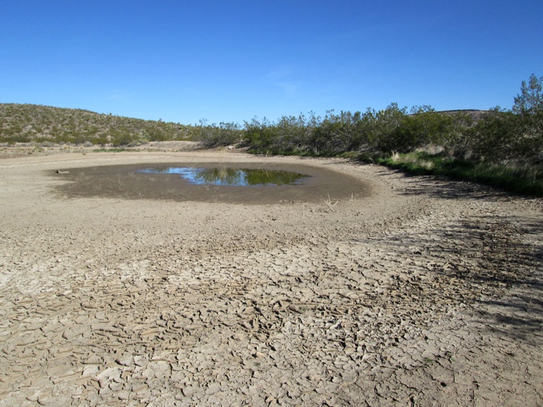 Another old cattle pond, this one surprisingly still with a bit of water