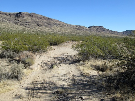 An easy-riding stretch is coming up just around this bend...