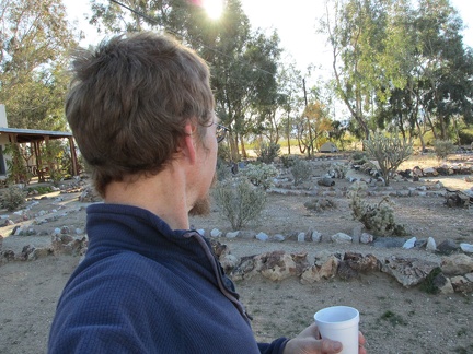 Morning at Nipton is nice and sunny; the tent sits at the back of the cactus garden by some eucalyptus trees