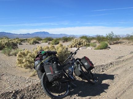 I take several short breaks along Nipton-Moore Road, enjoying the solitude and the plant life