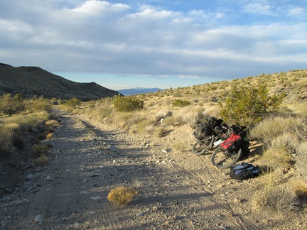 Almost a mile up Slaughterhouse Spring Road, I start looking for a campsite more seriously