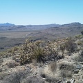 Sitting up on Tortoise Shell Mountain for half an hour, I enjoy views toward Wild Horse Mesa and the Providence Mountains