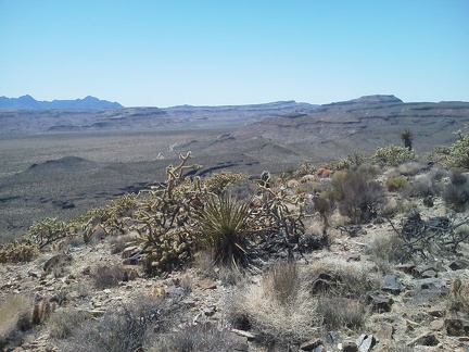 Sitting up on Tortoise Shell Mountain for half an hour, I enjoy views toward Wild Horse Mesa and the Providence Mountains