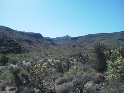 An hour later, I'm back down in the Woods Wash area