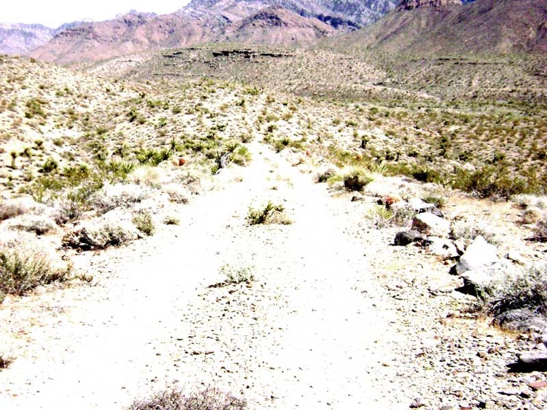 I climb over the next hill and recognize my location as the end of the south fork of Globe Mine Road