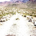 I climb over the next hill and recognize my location as the end of the south fork of Globe Mine Road