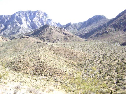 It was a good decision to climb to this crest; I can now see part of the road to Tough Nut Mine in the distance on my left