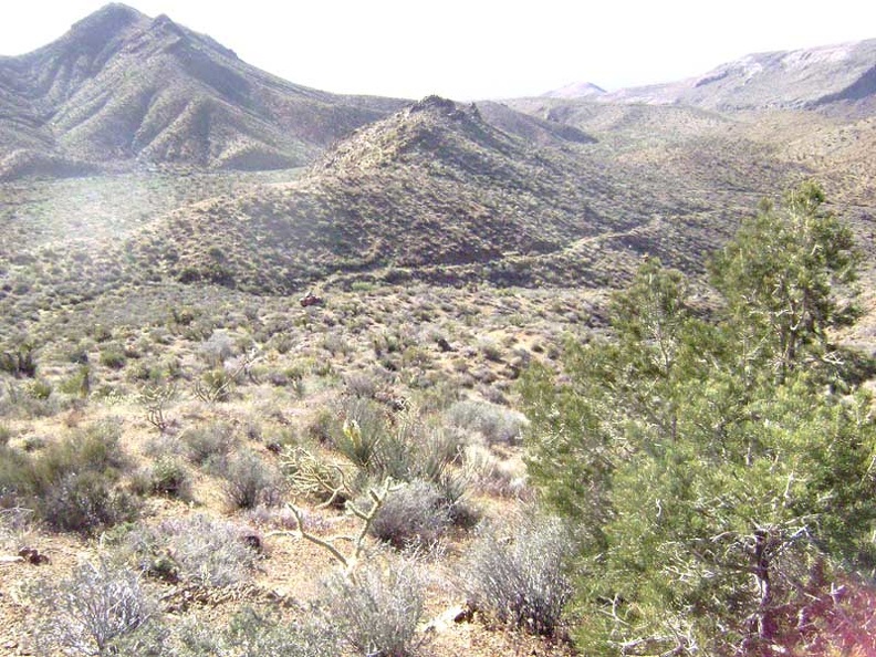 After climbing a gap between hills where the old connector road should be, I've ended up above the road to Tough Nut Mine