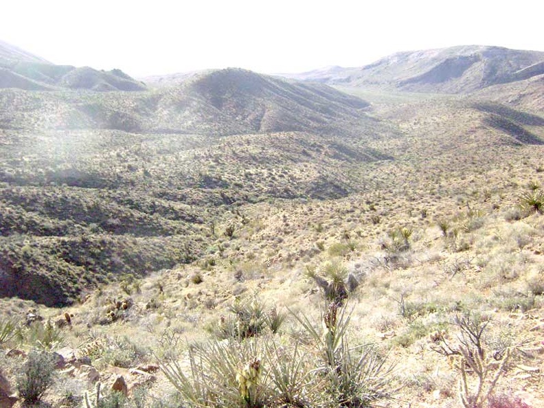 Perched up on this hill, the Tough Nut Mine site offers many great views, including this one to the northeast