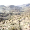 Perched up on this hill, the Tough Nut Mine site offers many great views, including this one to the northeast