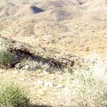 Not far from the outhouse at Tough Nut Mine rest some rocks and a tiny wooden cross to mark a grave site