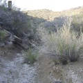 The old road that has been serving as an excellent trail so far drops into a narrow wash and disappears