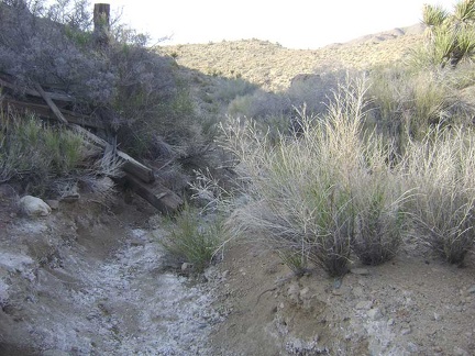 The old road that has been serving as an excellent trail so far drops into a narrow wash and disappears