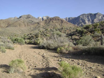 At the bottom of the narrow wash, I rejoin the wide wash that will lead back to the south fork of Globe Mine Road