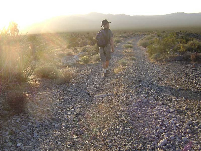  I walk down the fan on the south fork of Globe Mine Road, enjoying the sun behind the Marl Mountains