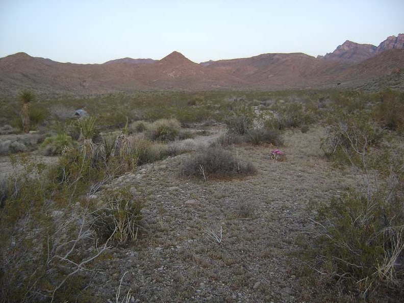 There's my tent, I'm back home and ready to settle in for the evening