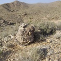 Boulder with heavy-duty wire tied around it