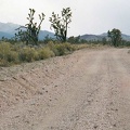 Pinkish gravel on Hart Mine Road; the New York Mountains are not too far away now