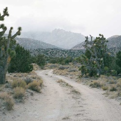 Day 6: Nipton to Keystone Canyon area via Walking Box Ranch Road