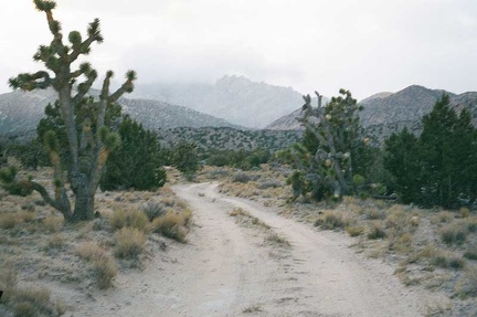  At the bottom of the remote, cold and eerie Keystone Canyon Road, I look for a spot to pitch my tent