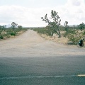 Walking Box Ranch Road turns out to be easy to locate on Nevada Highway 164