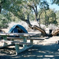 Morning at Mid Hills Campground, Mojave National Preserve