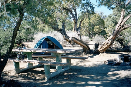 Morning at Mid Hills Campground, Mojave National Preserve