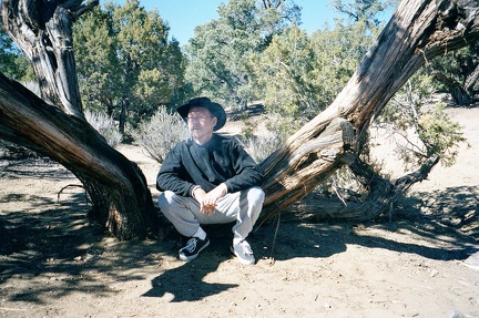 An old, crusty juniper by my campsite offers the perfect sit-down for a late-morning pipe