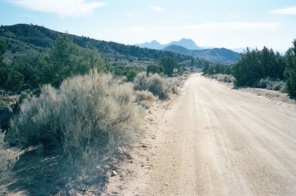 I ride southward down Wild Horse Canyon Road away from Mid Hills Campground, Mojave National Preserve