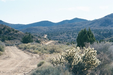 Wild Horse Canyon Road meanders over the hills