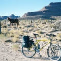 A horse grazes at the bottom of Wild Horse Canyon Road