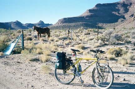 A horse grazes at the bottom of Wild Horse Canyon Road