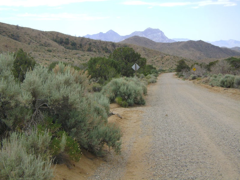 Wild Horse Canyon Road is one of my favourite mountain-bike rides in Mojave National Preserve