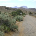Wild Horse Canyon Road is one of my favourite mountain-bike rides in Mojave National Preserve