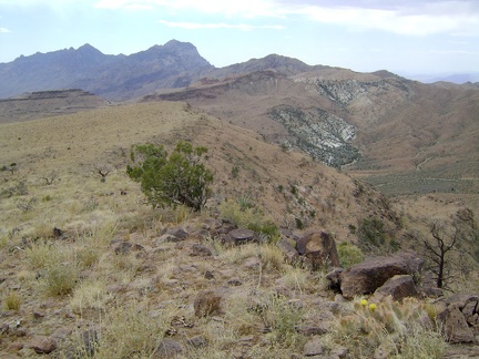 I climb up onto Wild Horse Mesa and revel in the views toward Beecher Canyon and Providence Mountains