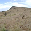 My maps indicate that the summit of Wild Horse Mesa is only a half mile northeast, so I start walking that way