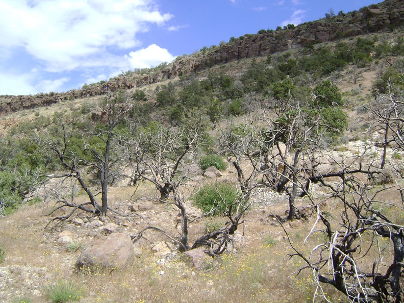 Looking back up to Wild Horse Mesa as I continue back down to Bluejay Mine