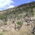 Looking back up to Wild Horse Mesa as I continue back down to Bluejay Mine