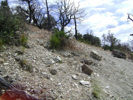 This area directly north of Wild Horse Mesa is steep, but is feasible when hiked across the slope