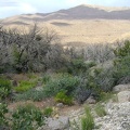 Descending into Bluejay Mine valley below Wild Horse Mesa