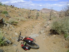 I make it back to Bluejay Mine, retrieve the bike, and start riding the 1.5 miles down to Wild Horse Canyon Road