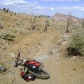 I make it back to Bluejay Mine, retrieve the bike, and start riding the 1.5 miles down to Wild Horse Canyon Road