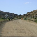 A cow stands in the middle of Black Canyon Road, not sure what to make of me