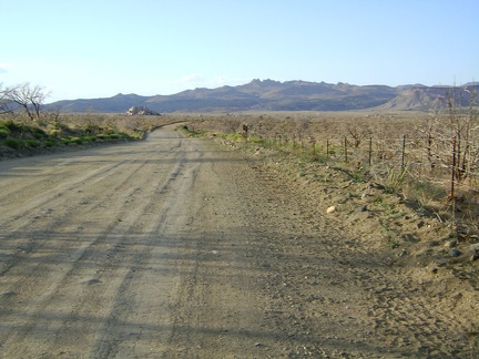 Black Canyon Road flattens out as it crosses Round Valley, Mojave National Preserve